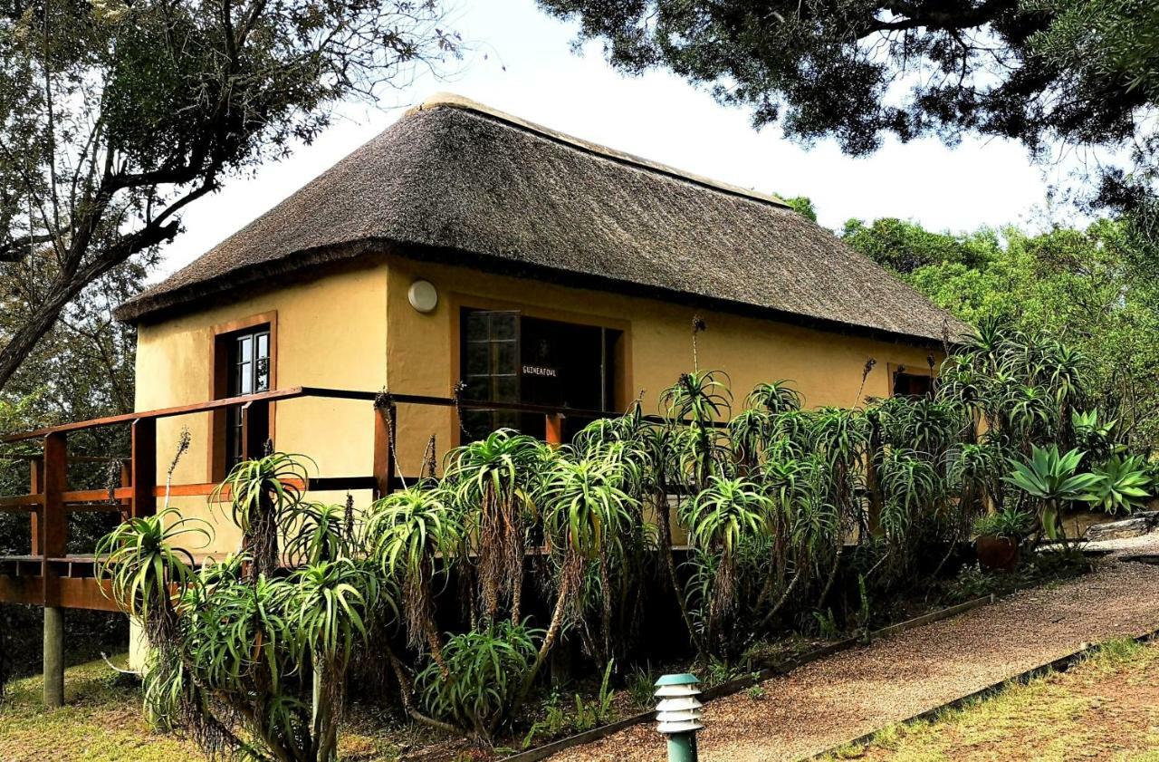 Fairy Knowe Backpackers Lodge Wildernis Eksteriør billede